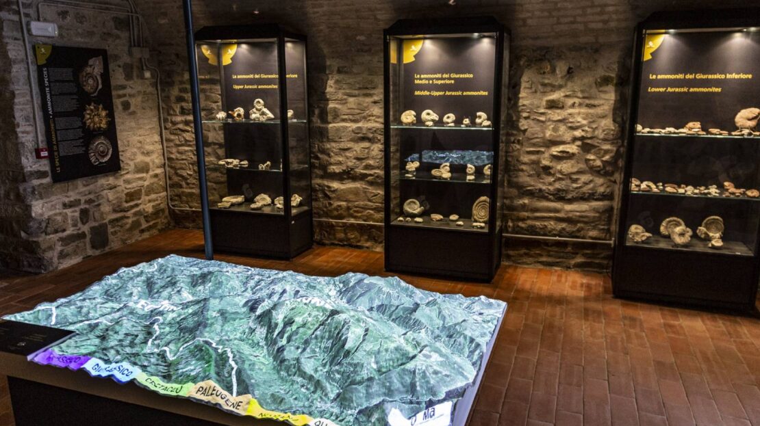 Museo dei Fossili e Minerali del Monte Nerone