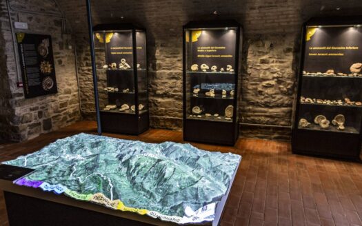 Museo dei Fossili e Minerali del Monte Nerone