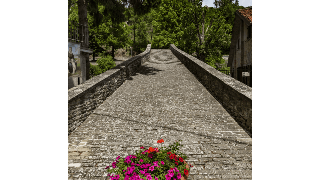 Ponte medievale a schiena d'asino