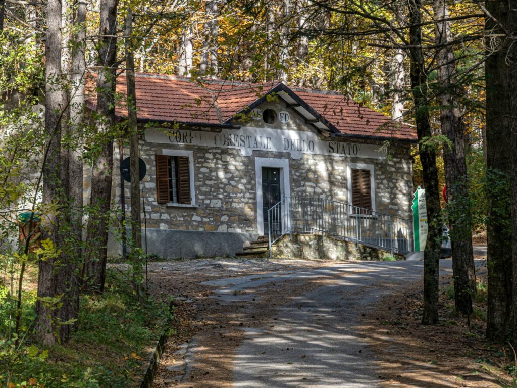 Museo della pineta Il Cippo