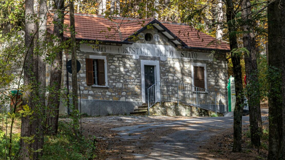 Museo della pineta Il Cippo