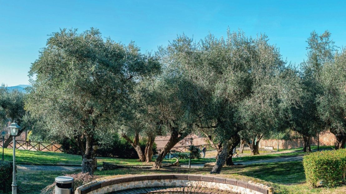 Giardino degli ulivi Gradara