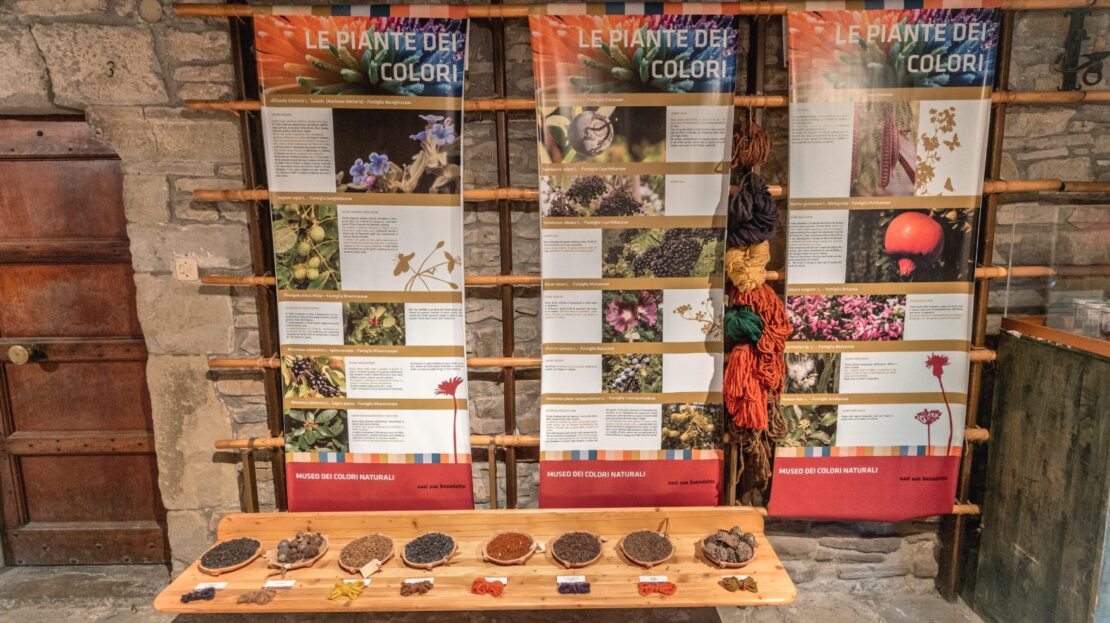 Museo dei Colori Naturali Delio Bischi