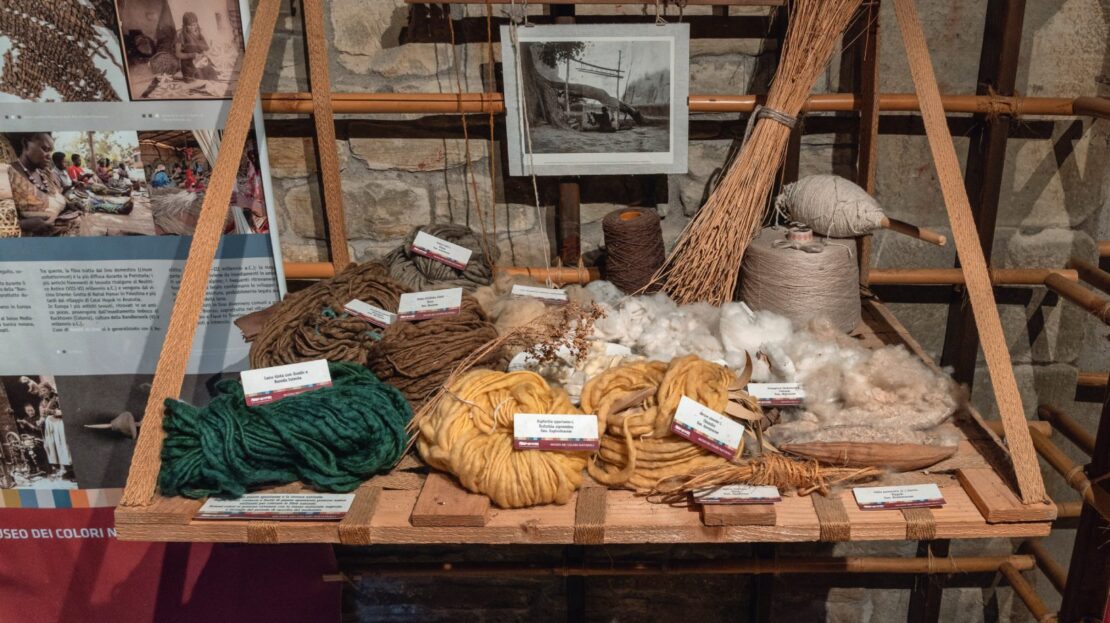 Museo dei colori Delio Bischi