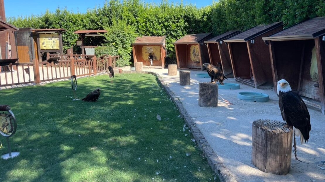 Teatro dell'aria a Gradara