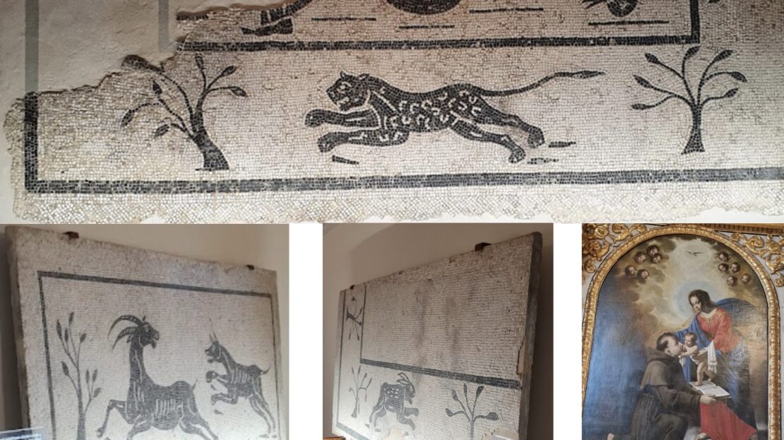 sala dei mosaici di Saltara