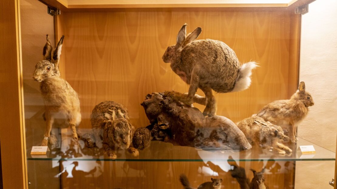 MUSA Museo Storico Ambientale