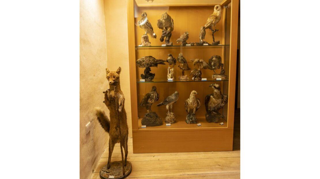 MUSA Museo Storico Ambientale