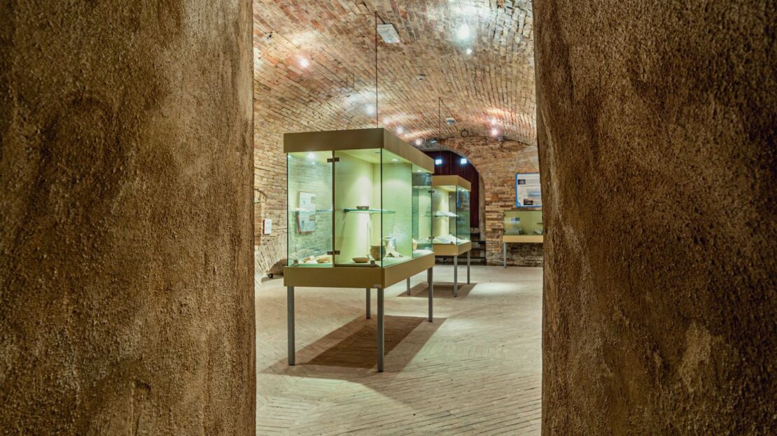 Museo Archeologico del Territorio
