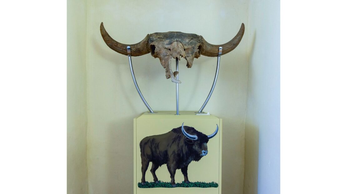 Museo Archeologico del Territorio