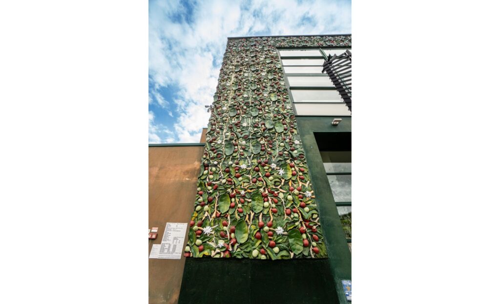 Monte Cerignone - Caffe Pascucci